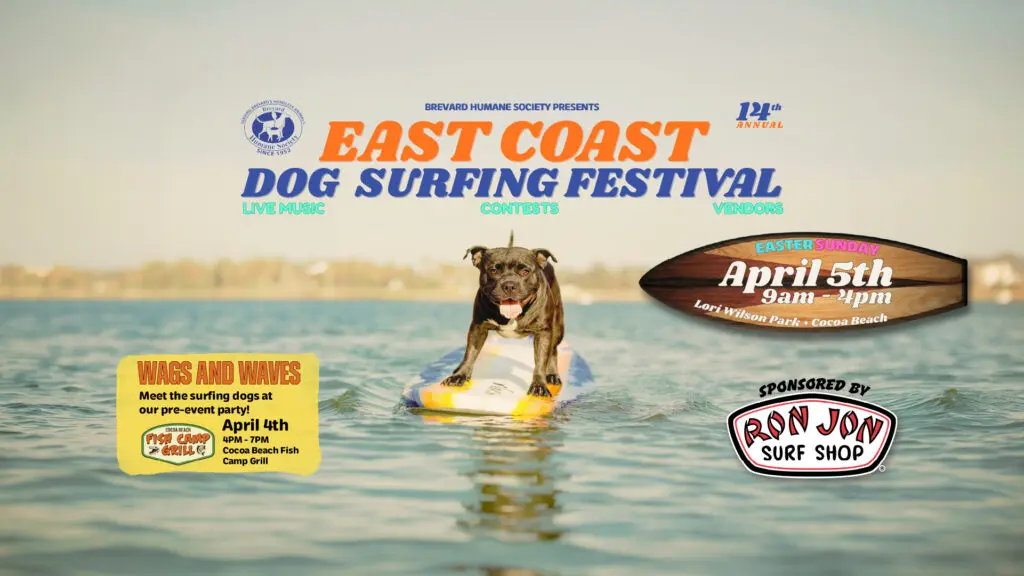 14th Annual East Coast Dog Surfing Festival