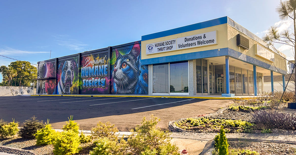 Mural Dedication Ceremony at Molly Mutt III Celebrates Art, Community, and Compassion