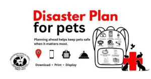 Disaster Plan for Pets graphic encouraging families to download, print, and display a hurricane and emergency preparedness checklist from Brevard Humane Society