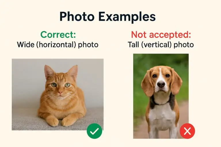 Best Pets of Brevard Contest Photo Examples