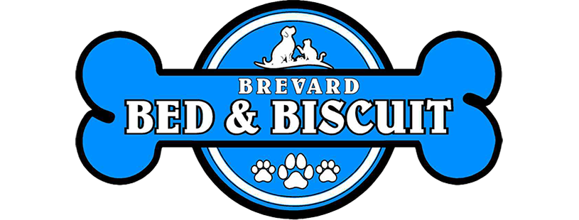 Brevard Bed & Biscuit