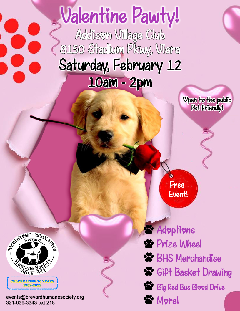 Valentines Pawty