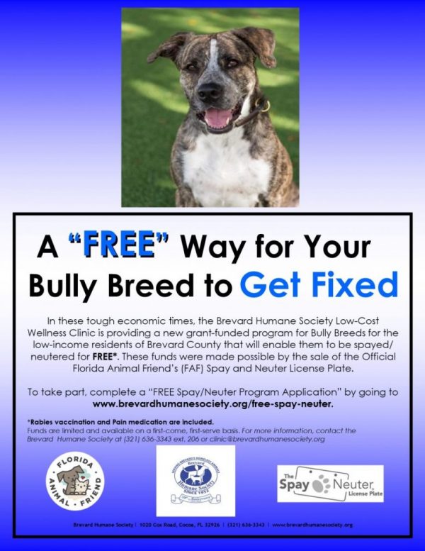 Free Spay/Neuter Program Brevard Humane Society