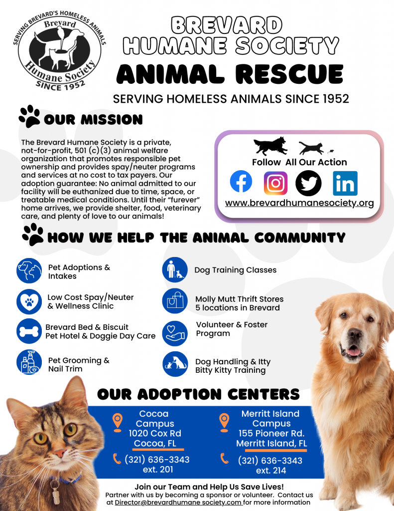 Organizational About Us