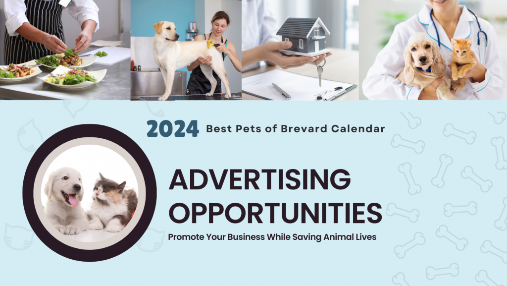 Advertising Opportunities