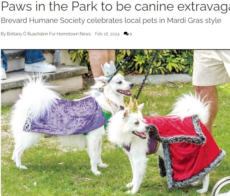 Paws in the Park to be canine extravaganza