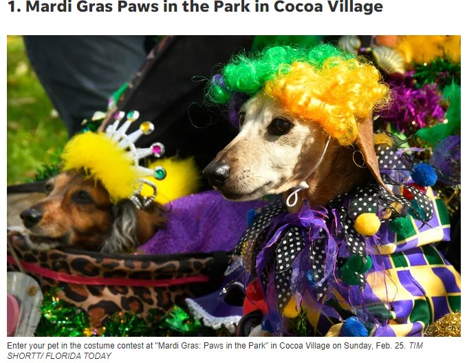 No money? No problem. Here are 9 free things to do in Brevard this weekend.