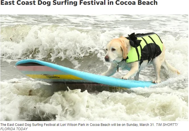 Florida Today 60 Fun things to do in March