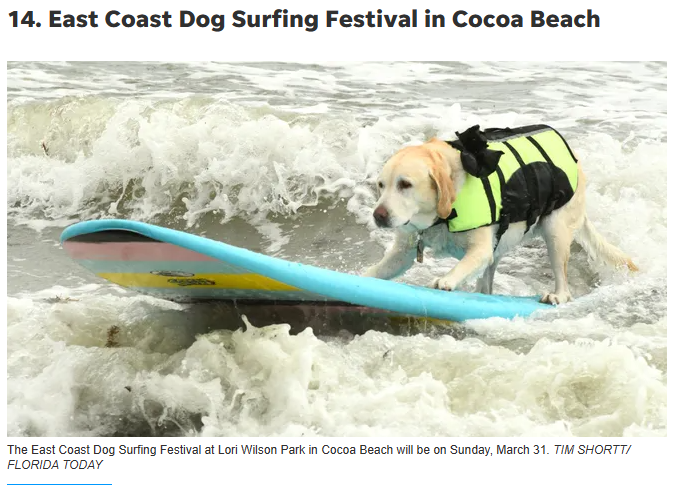 Get outside! Outdoor festival season is in full swing on the Space Coast
