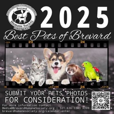 Best Pets of Brevard 2025