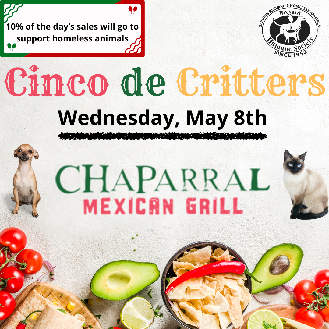 Cinco de Critters Returns For Its 12th Year