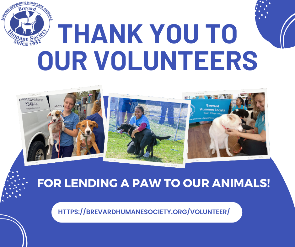 Brevard Humane Society to Recognize Volunteers