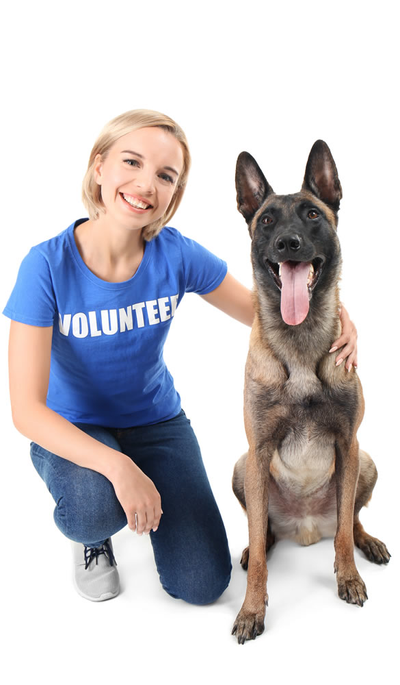 Volunteer Opportunities
