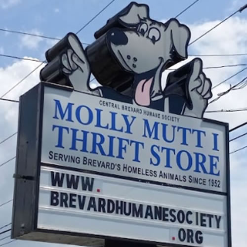 Molly Mutt-Merritt Island Molly Mutt-Merritt Island