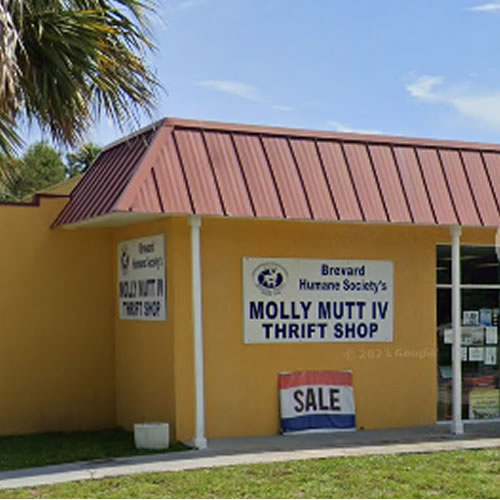 Molly Mutt-Palm Bay Molly Mutt-Palm Bay