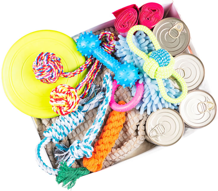 Pet Supplies Pet Supplies