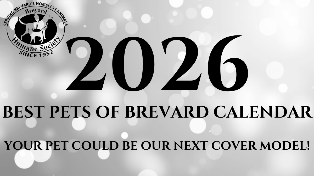 2025 Best Pets of Brevard Ad with QR Code 2025 Best Pets of Brevard