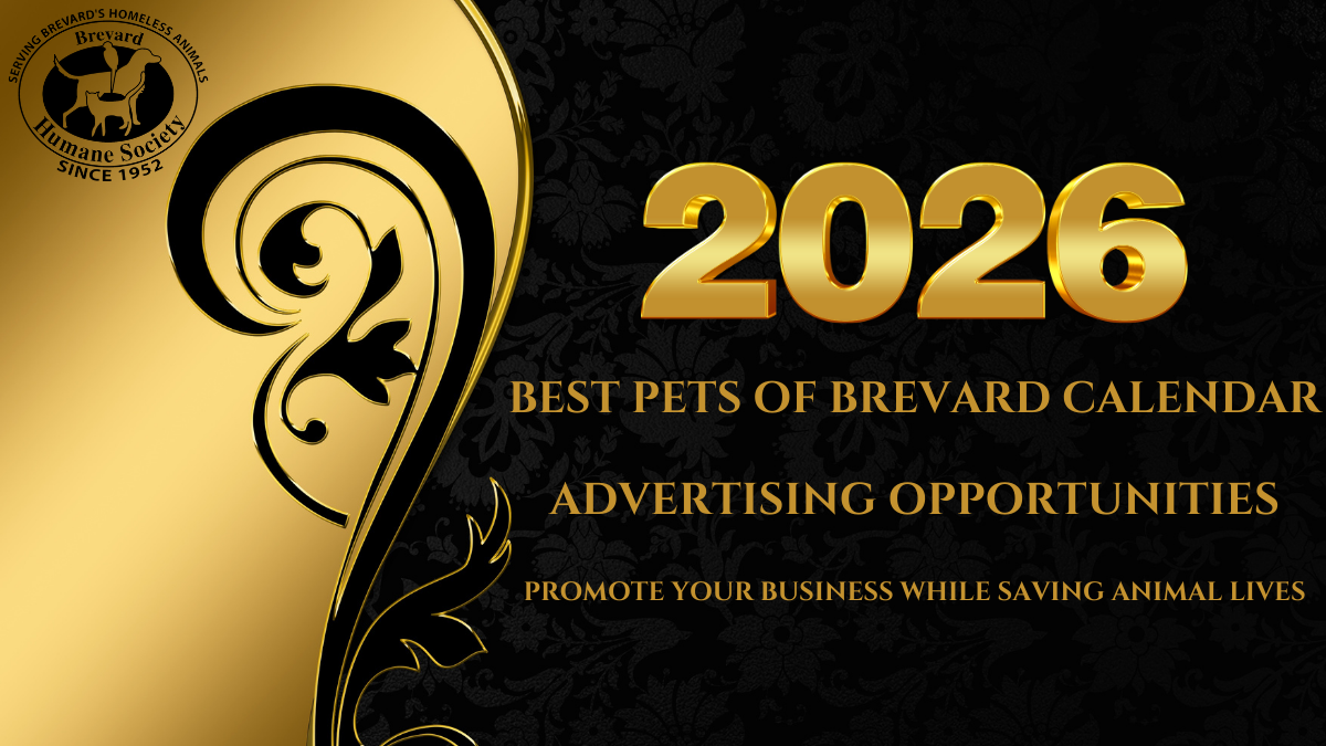 2026 Best Pets of Brevard Ad with QR Code 2025 Best Pets of Brevard - Advertising Opportunities