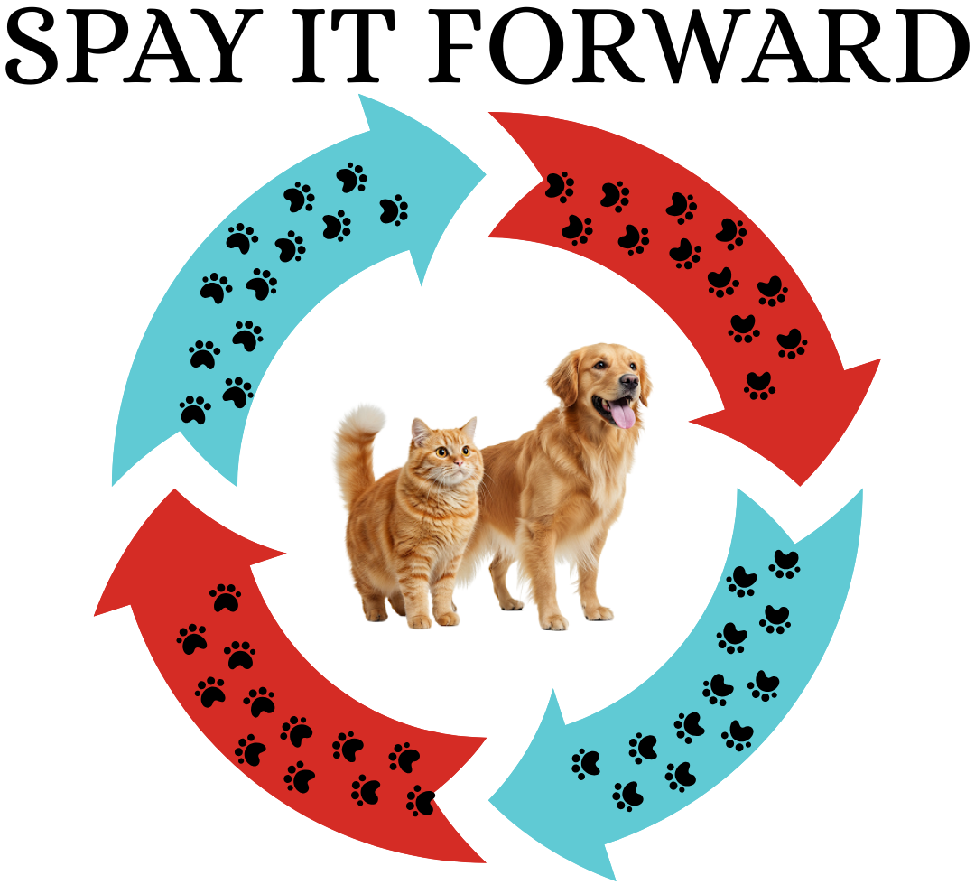 SPAY IT FORWARD (crop)